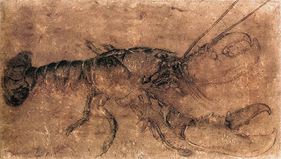 Lobster Albrecht Durer